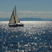 barca a vela in affitto