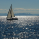 barca a vela in affitto